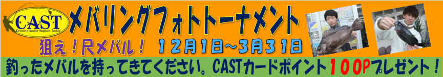 CASTメバリングフォトトーナメント開催中！