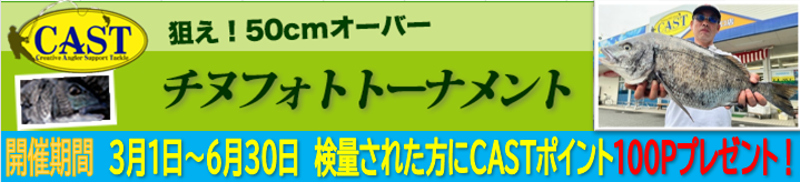 【狙え！50cmオーバー】チヌフォトトーナメント 開催！！