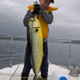 GOOD SIZE!