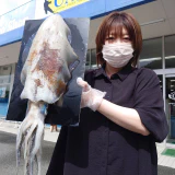 更新！