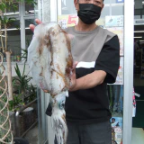 また、更新に来ます！