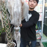 更新頑張ります！