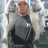 ユムシ２匹でチヌ２匹釣れました！