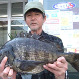 ２Kgオーバーの乗っ込みのチヌです！