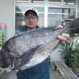 ５０ｃｍオーバー狙います！