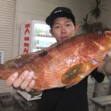 すごく引きました！