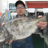 余ったマキエでゲット！