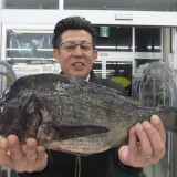 ３度目の更新！