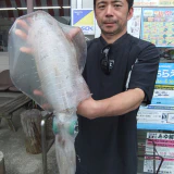 追尾の奴はデカかった！