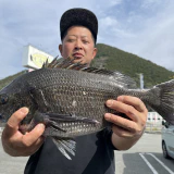 タツさん勝負ですよ！