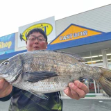 チヌ釣り楽しい(^^♪