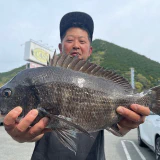 もう一回更新したい！