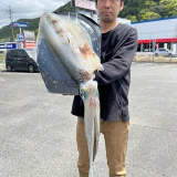 更新頑張ります！