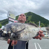 チヌがエサ取り！