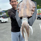 更新頑張ります