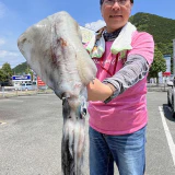 春が来ないかと思った・・・