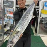 ショアからのジグのキャスティングで大型サワラ！