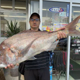 夜釣りのカゴ釣りで！