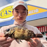 やったー！