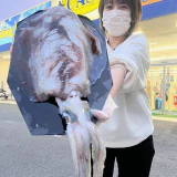良く引きました！